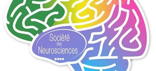 La Semaine du Cerveau – 2017